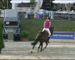 jumper Ligrette (Hanoverian, 2003, from Le Primeur)