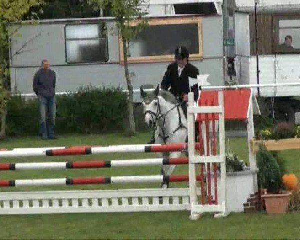jumper Carlo 326 (German Sport Horse, 2004, from Cassandro 10)