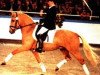 stallion FS Golden Moonlight (German Riding Pony, 1992, from Golden Dancer)