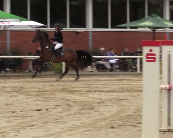 Reitturnier Werne 2022