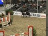 jumper Caspar 201 (Hanoverian, 2005, from Chasseur I)