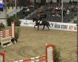 jumper Caspar 201 (Hanoverian, 2005, from Chasseur I)