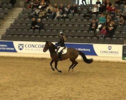 jumper Lilli 150 (Hanoverian, 2002, from Le Cou Cou)