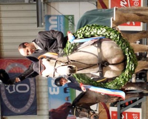 jumper Casanova 309 (Oldenburg show jumper, 2003, from Cellestial)