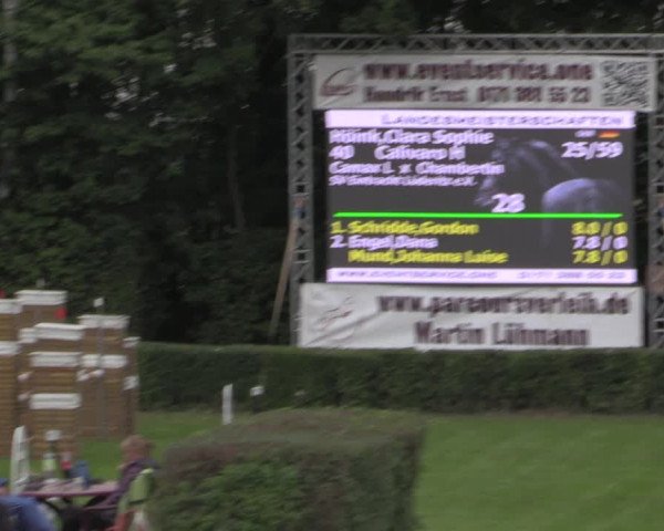 Reitturnier Westeregeln 2021