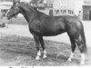 broodmare Duellfest (Hanoverian, 1954, from Duellant)