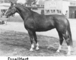 broodmare Duellfest (Hanoverian, 1954, from Duellant 3586)