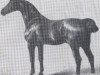 stallion Adjutant (Holsteiner, 1886, from Midas)