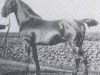 stallion Landgraf 1937 (Holsteiner, 1897, from Ali 1661)