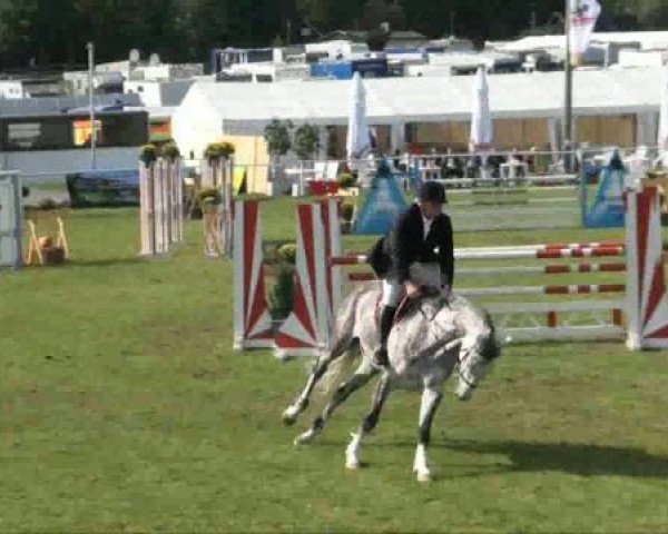 jumper Coco (Hanoverian, 2004, from Compliment)