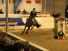 jumper Fermoso (Hanoverian, 2003, from For Feeling)