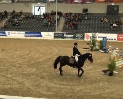 dressage horse Rommee 5 (Hanoverian, 2005, from Rotspon)