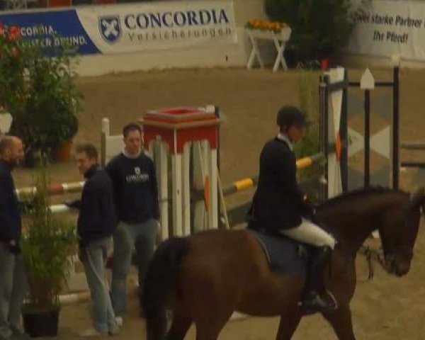 jumper Conen P (Hanoverian, 2003, from Contendro I)