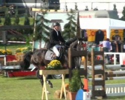 jumper Alpatros (Oldenburg show jumper, 2005, from Albatros 86)