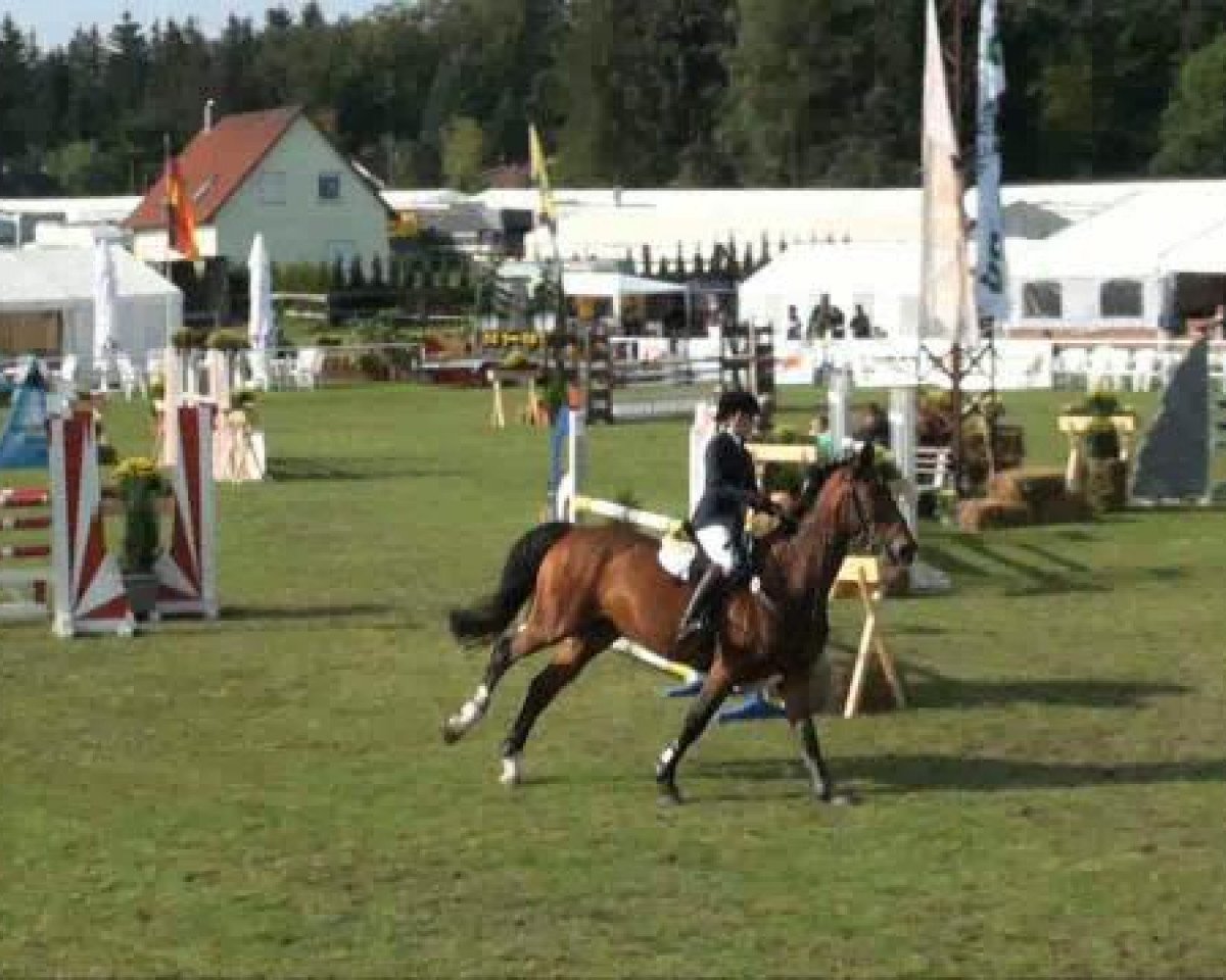 jumper Cäpt’n Grannus (Hanoverian, 1996, from Capitol II)