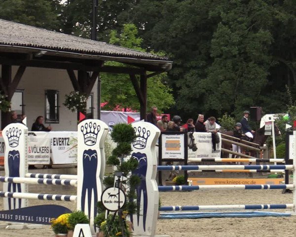 Reitturnier Solingen 2022