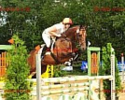 dressage horse Lybiano (Hanoverian, 2005, from Likoto xx)