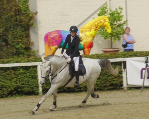 Reitturnier St.Wendel, Gestüt Welvert 2022