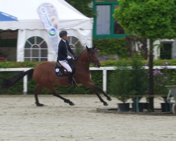 Reitturnier St.Wendel, Gestüt Welvert 2022