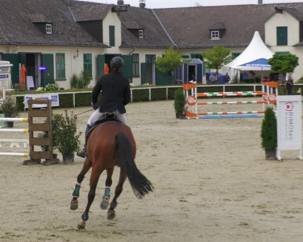 Reitturnier St.Wendel, Gestüt Welvert 2022