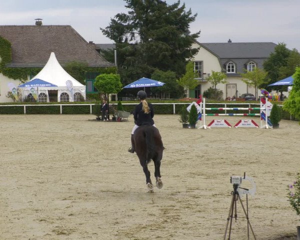 Reitturnier St.Wendel, Gestüt Welvert 2022
