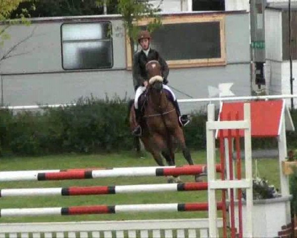horse Sambuco 22 (Hanoverian, 2003, from Slibovitz)