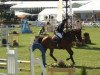 jumper Landado (Oldenburg show jumper, 2005, from Lordanos)