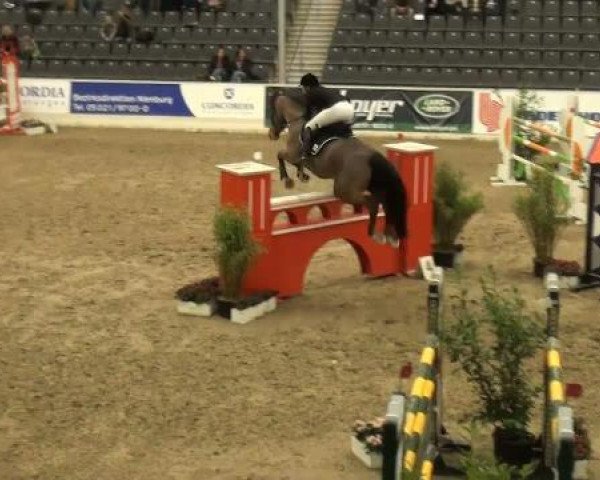 jumper Large Level (Hanoverian, 2003, from Lordanos)