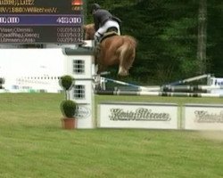 jumper Enjoy 77 (Hanoverian, 2005, from Earl)