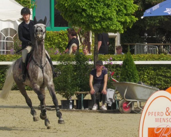 Reitturnier St.Wendel, Gestüt Welvert 2022