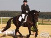 dressage horse Ruerd uut't Noorderbroek (Friese, 2005, from Maiko 373)