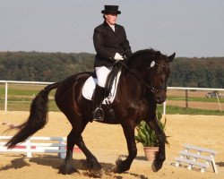 dressage horse Ruerd uut't Noorderbroek (Friese, 2005, from Maiko 373)