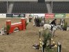 jumper Carato 2 (Oldenburg show jumper, 2005, from Carinue)