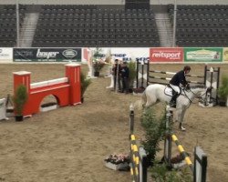 jumper Carato 2 (Oldenburg show jumper, 2005, from Carinue)