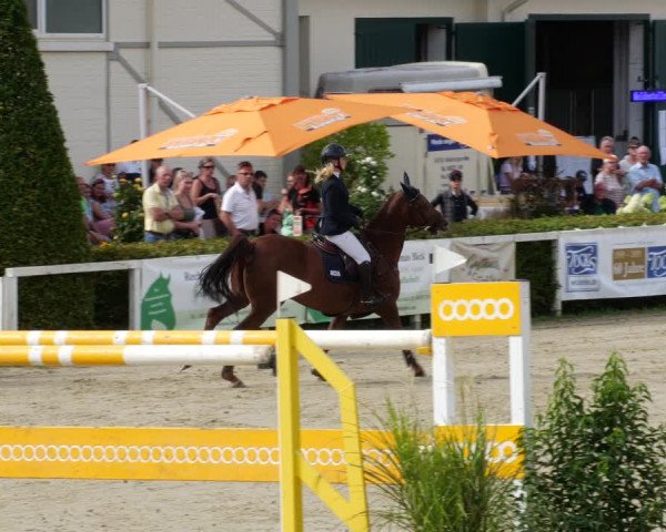 Reitturnier St.Wendel, Gestüt Welvert 2022