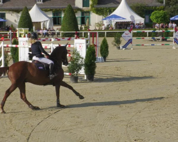 Reitturnier St.Wendel, Gestüt Welvert 2022