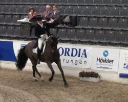 dressage horse Decanto (Hanoverian, 2002, from De Niro)