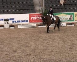 dressage horse Fürst Pless (Hanoverian, 2001, from Fabriano)