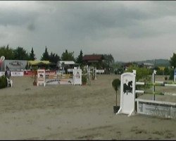 jumper Unicus 5 (KWPN (Royal Dutch Sporthorse), 2001, from Ulft)