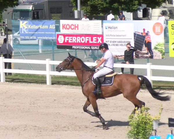 Reitturnier Hüntwangen 2022