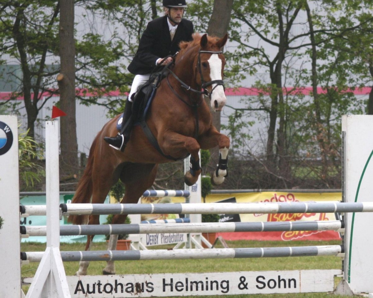 jumper Fantasia Rouge (Hanoverian, 2002, from Fly High)