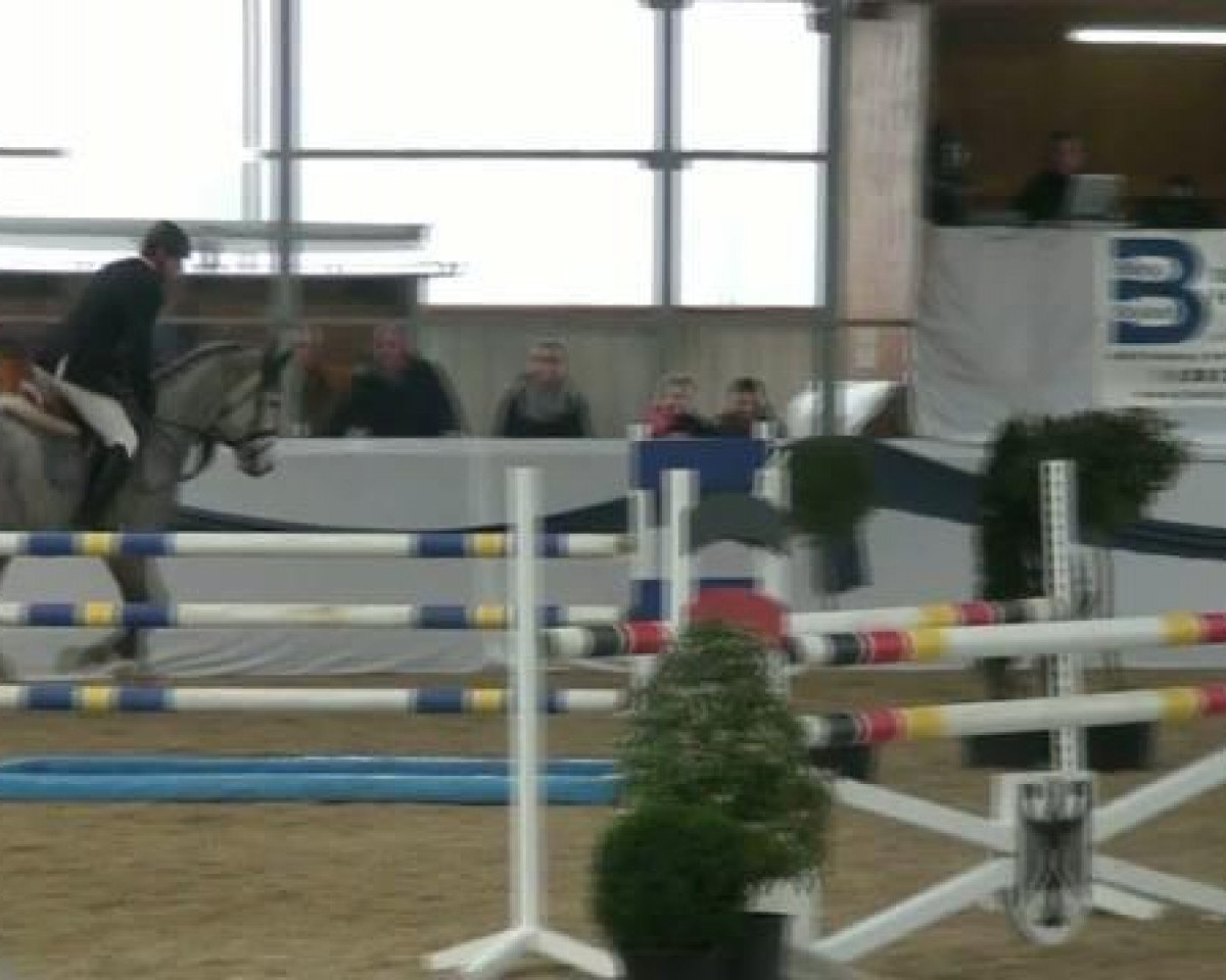 Springpferd Champino 3 (Mecklenburger, 2006, von Champion For Pleasure)