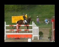 jumper Ramiro's Chico (German Sport Horse, 2004, from Rudelsburg)