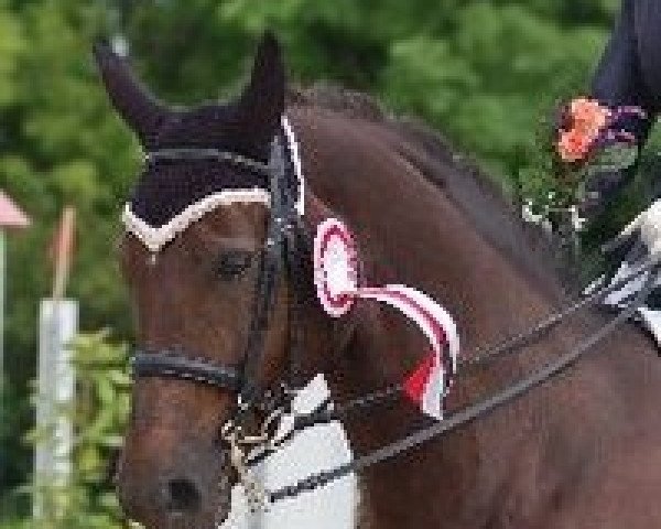 broodmare French Rose (Zweibrücken, 2002, from French Kiss)