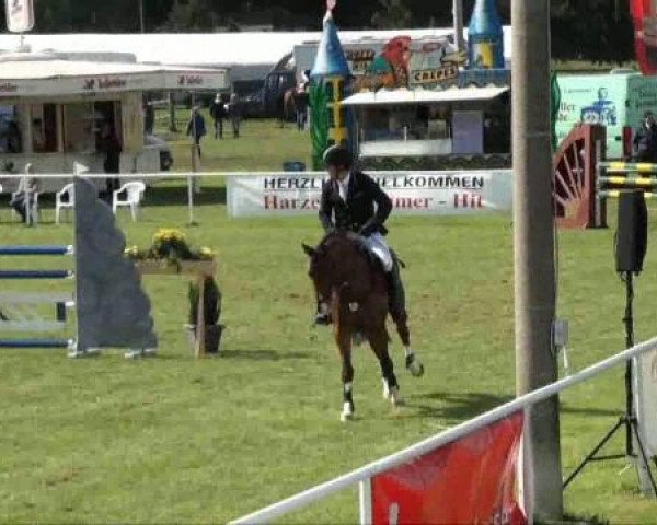 horse Strolch (Hanoverian, 2005, from Silvio I)