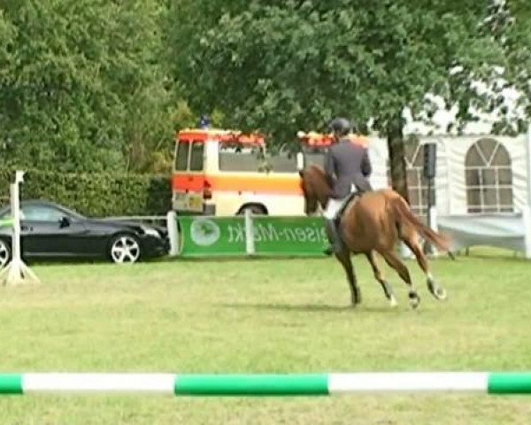 horse Aloubee (Holsteiner, 1995, from Alcatraz)