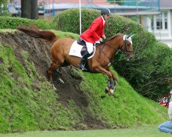 broodmare Antik 9 (Mecklenburg, 1994, from Azarro (Aachen))