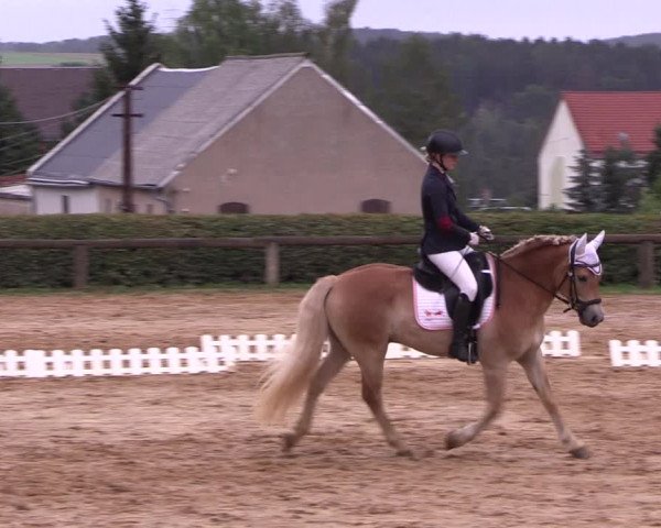 Reitturnier Lengenfeld/Vogtl. 2022