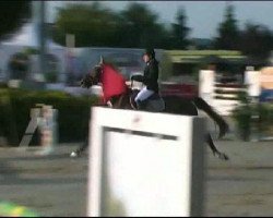 jumper Golden Coin 2 (Hanoverian, 1996, from Gralswaechter)