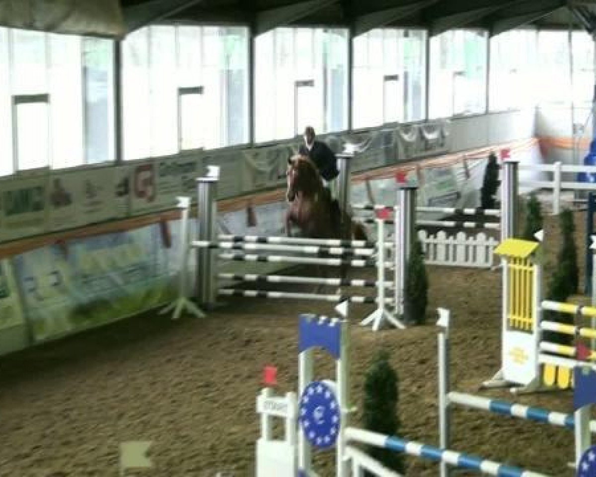 Springpferd Ile de la Coeur (Polnisches Warmblut, 2005, von Imequyl)